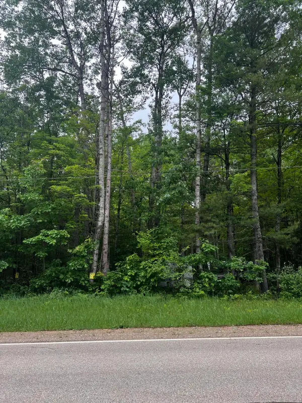 L163-165 N St. Helen Road, Roscommon, MI 48653