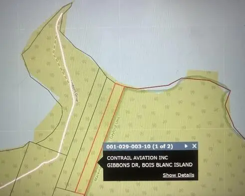 5.07 acres Gibbons Drive, Pointe Aux Pins, MI 49775 - #2