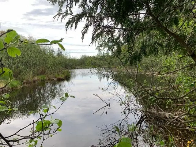 Lot 10 Little Cut Lane, Moran, MI 49760 - #1