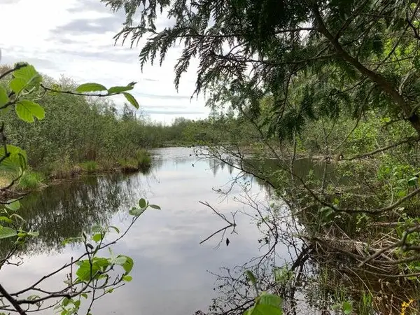 Lot 10 Little Cut Lane, Moran, MI 49760