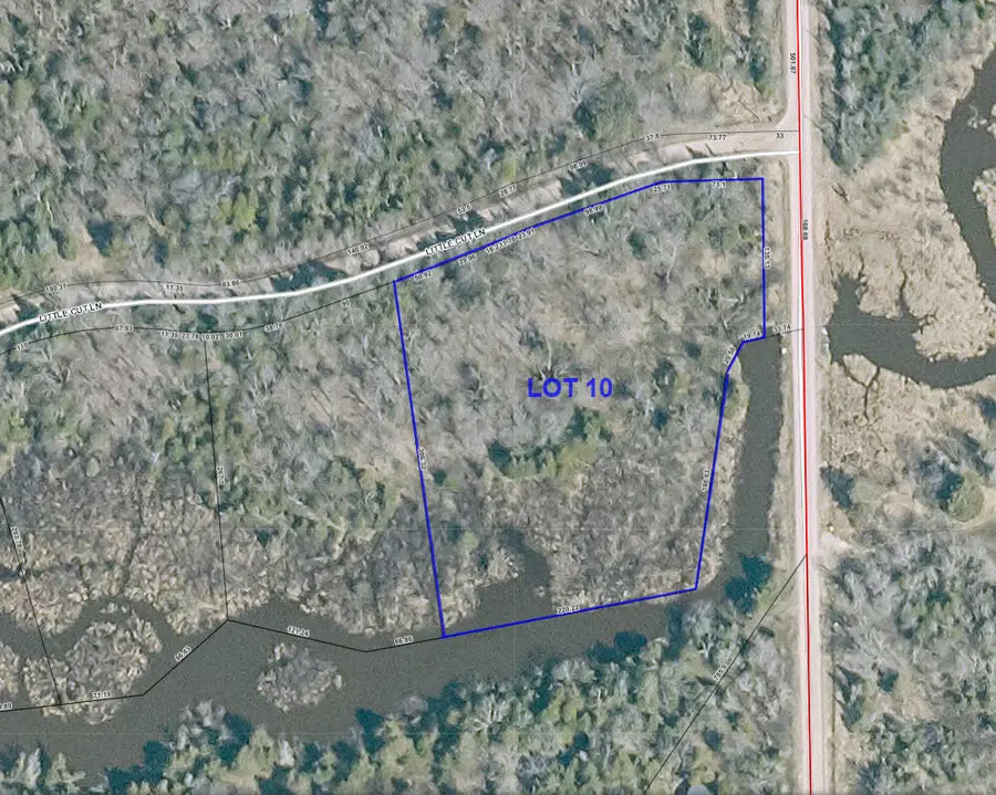 Lot 10 Little Cut Lane, Moran, MI 49760 - #3