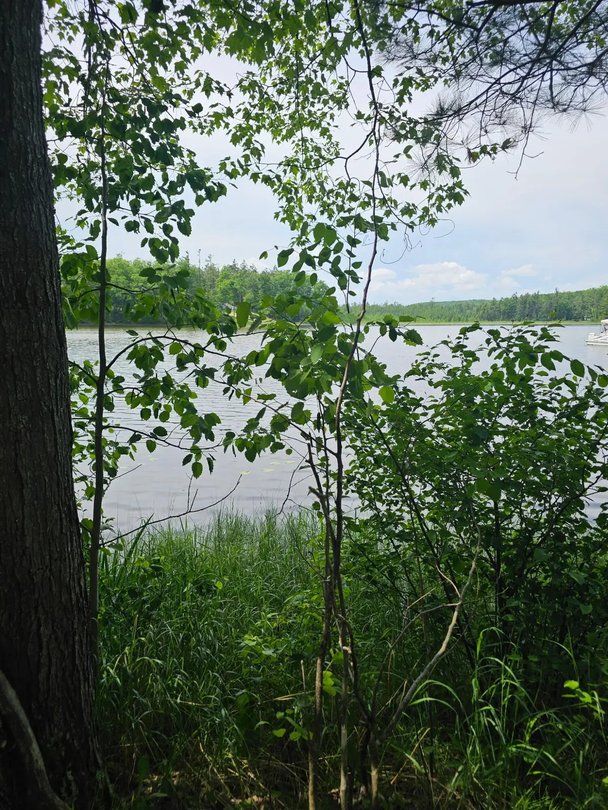 2195 Lake Drive, Mio, MI 48647 - #1