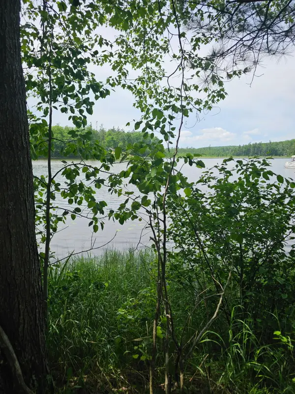 2195 Lake Drive, Mio, MI 48647