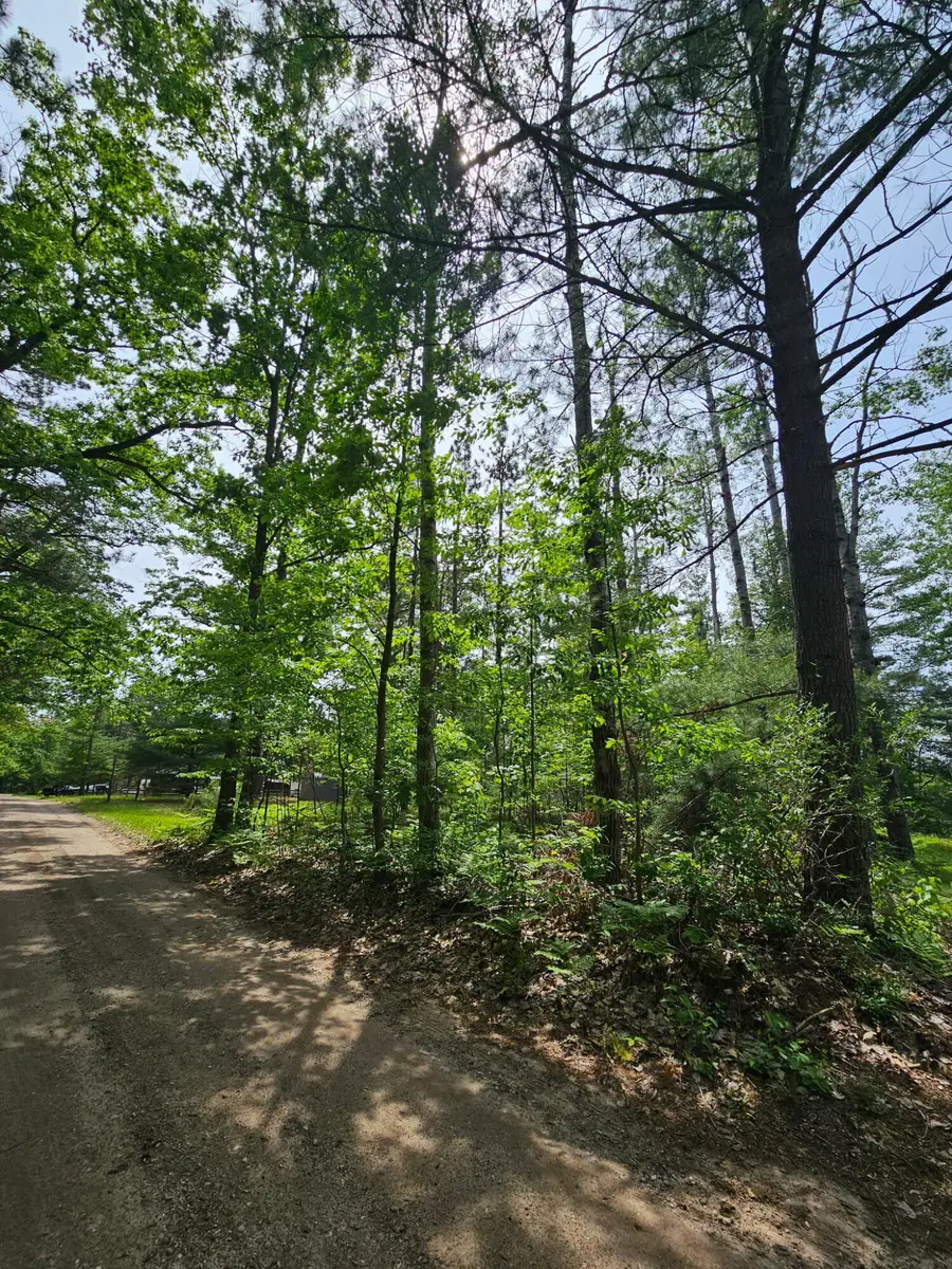 2195 Lake Drive, Mio, MI 48647 - #3