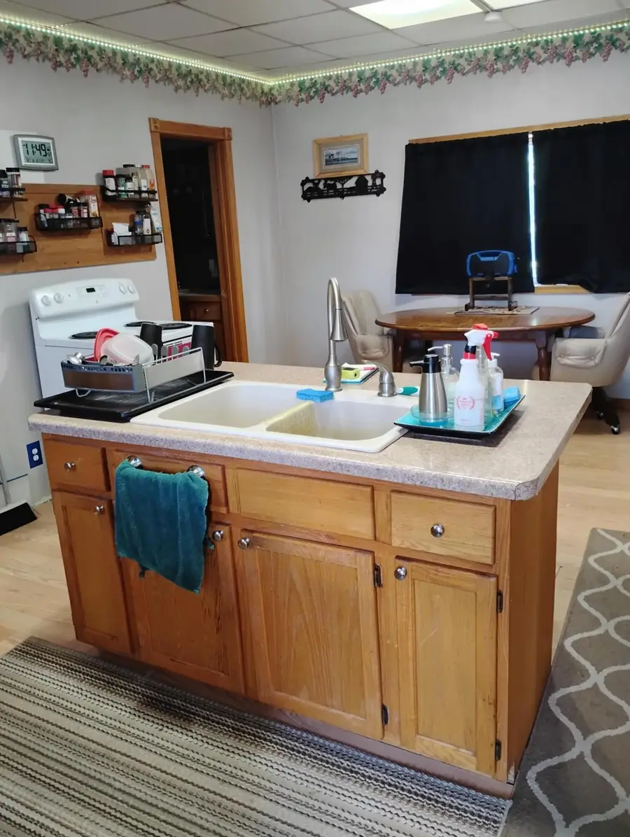 135 N 1st Street, Manistique, MI 49854 - #3