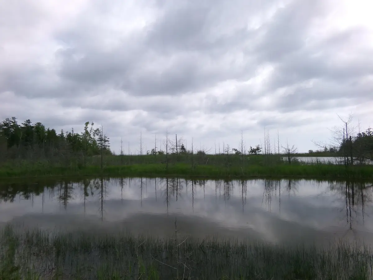 3305 El Cajon Beach Road, Alpena, MI 49707 - #1