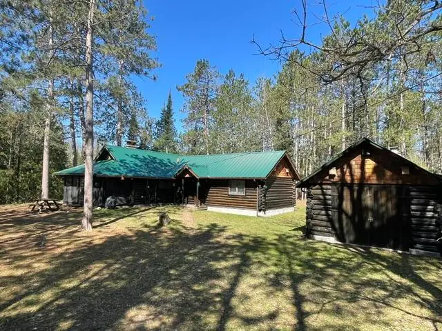 8779 Bingham Trail, Grayling, MI 49738 - #1