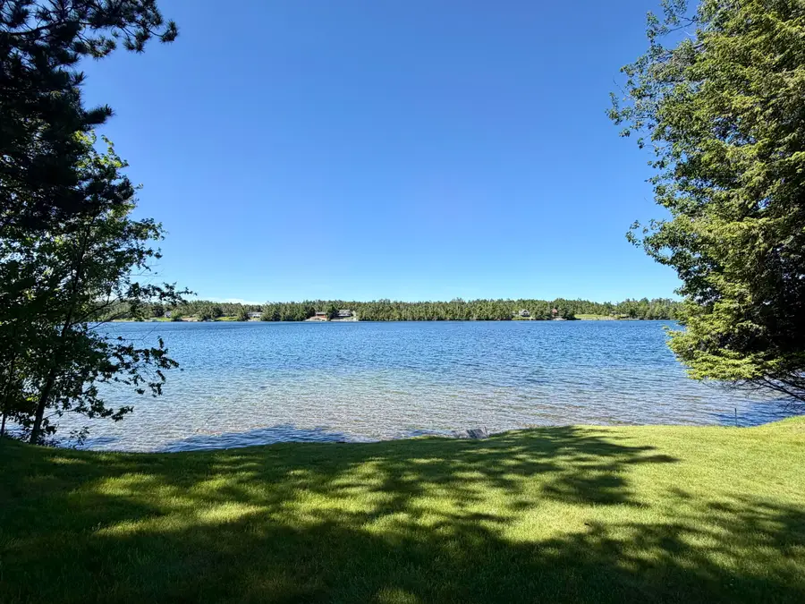 4482 Norway Trail, Cheboygan, MI 49721 - #2