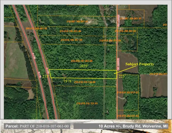 10.4 AC Brudy Road, Wolverine, MI 49799