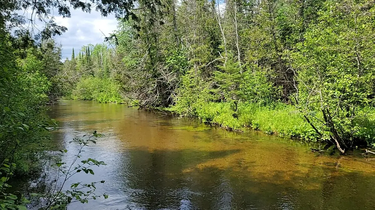 Lot 30 W Batterson Road, Frederic, MI 49733 - #1