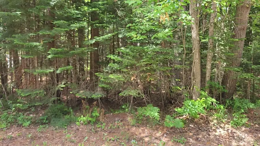Lot 30 W Batterson Road, Frederic, MI 49733 - #3