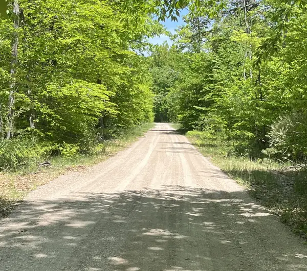 Parcel A Old Oak Road, Cheboygan, MI 49721