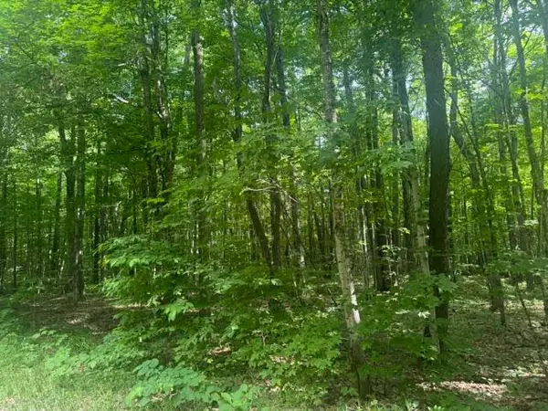 4473 Derry Road, Mancelona, MI 49659