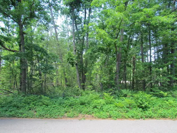 Lots 4-6 Marion Street, Lewiston, MI 49756