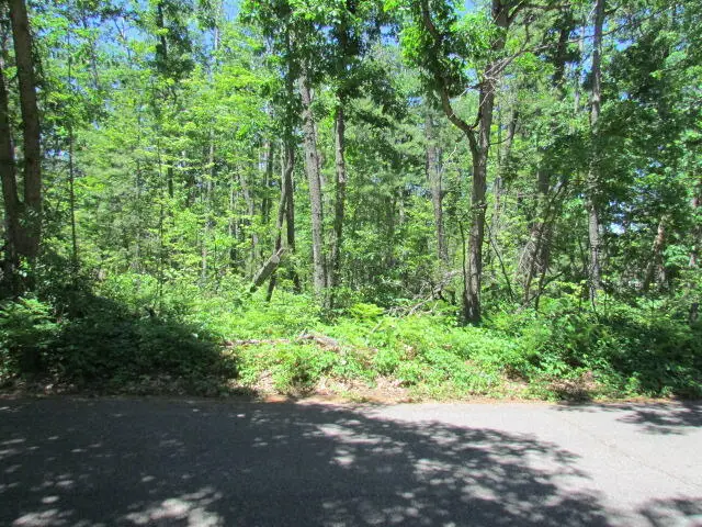 Lots 4-6 Marion Street, Lewiston, MI 49756 - #3