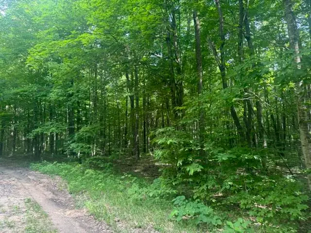 4621 Carrick Trail, Mancelona, MI 49659 - #3