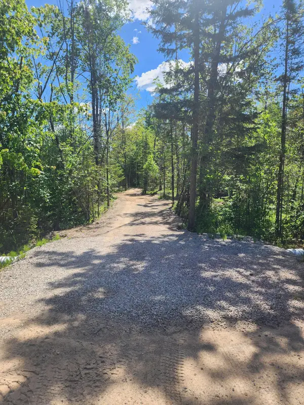 281 Geronimo Road, Alpena, MI 49707