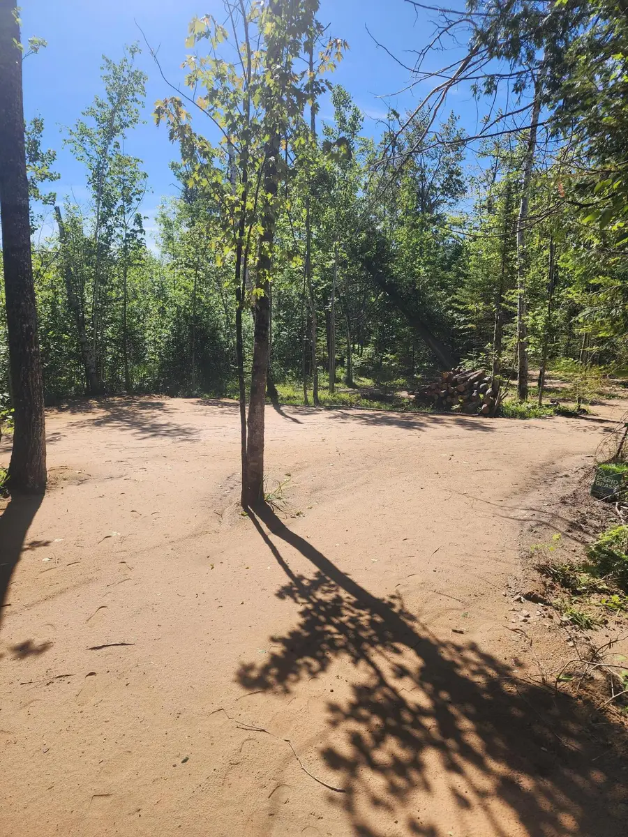 281 Geronimo Road, Alpena, MI 49707 - #2