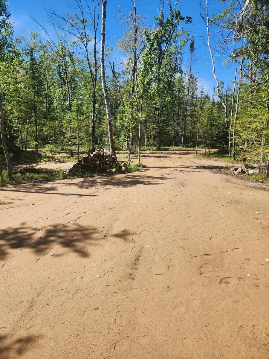 281 Geronimo Road, Alpena, MI 49707 - #3