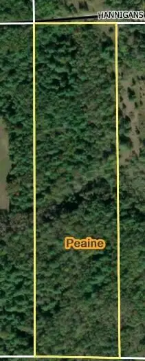10.17 AC Hannigan Road, Beaver Island, MI 49782 - #1