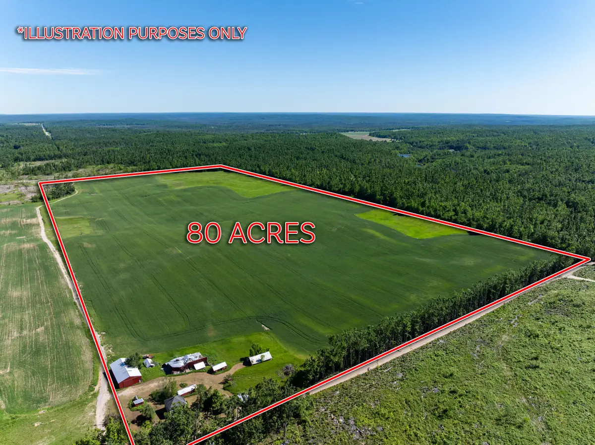 8766 Beckett Road, Johannesburg, MI 49751 - #1