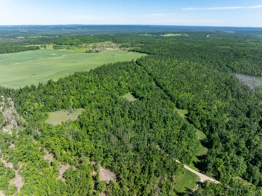 94.16 AC Beckett Road, Johannesburg, MI 49751 - #3