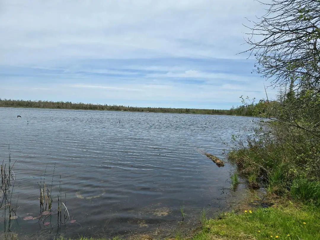 6732 Kelley Drive, Millersburg, MI 49759 - #1