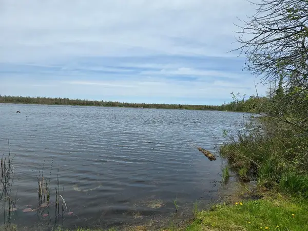6732 Kelley Drive, Millersburg, MI 49759