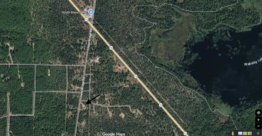 3697 N Chase Bridge Road, Grayling, MI 49738 - #2