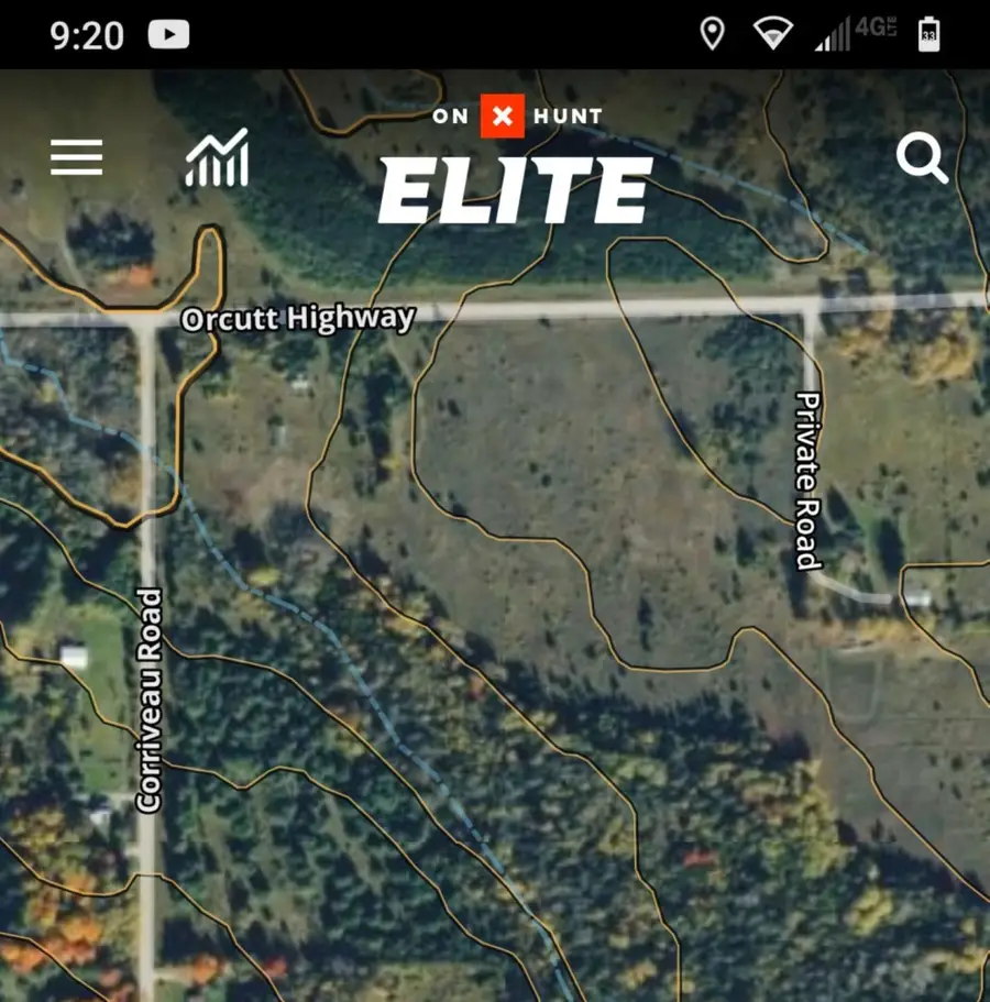 12927 Orcutt Highway, Millersburg, MI 49759 - #3
