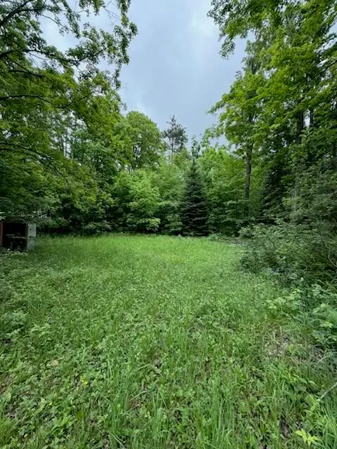 3419 Valleybrook Drive, Johannesburg, MI 49751 - #3