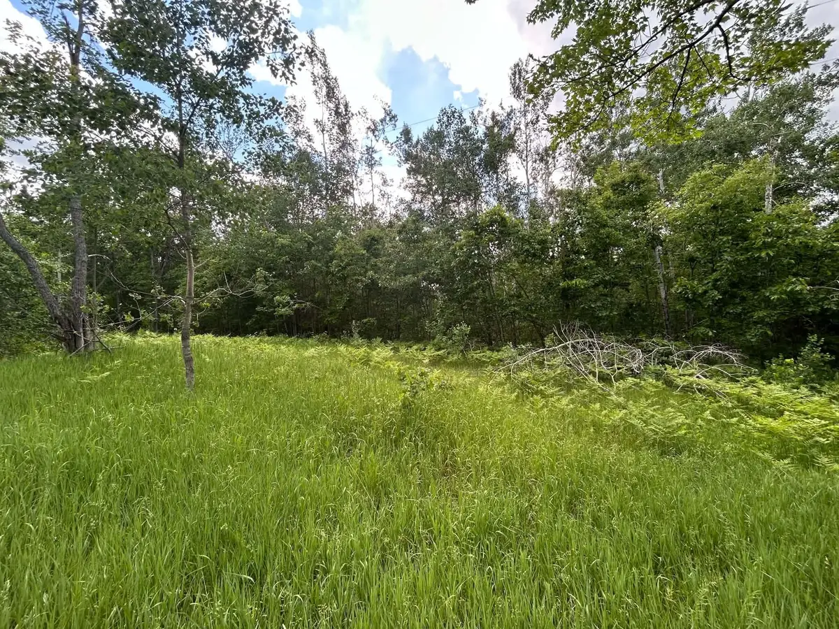 Parcel 1 Weaver Road, Comins, MI 48619 - #1