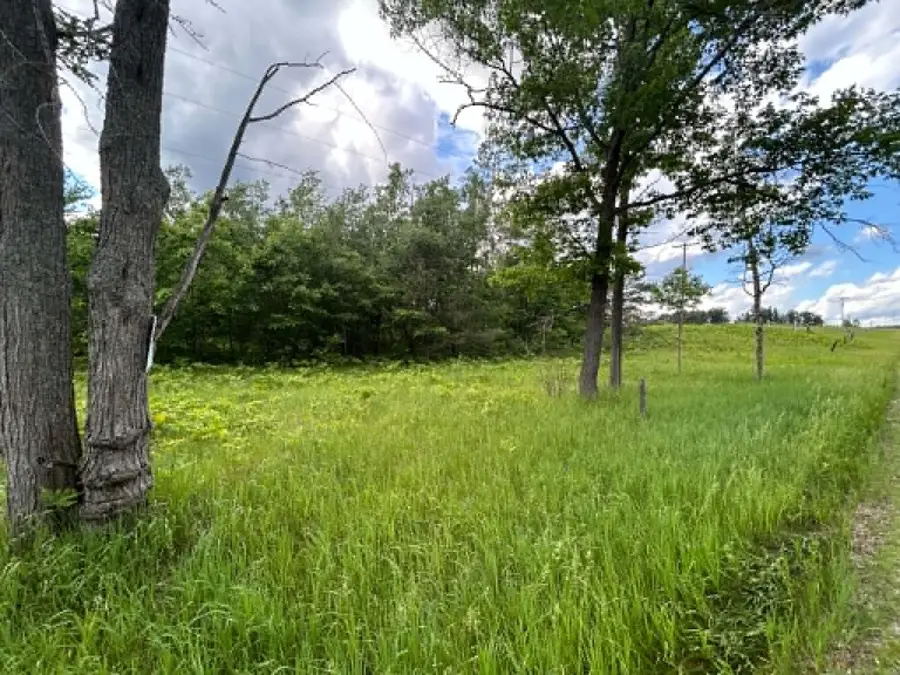Parcel 1 Weaver Road, Comins, MI 48619 - #3