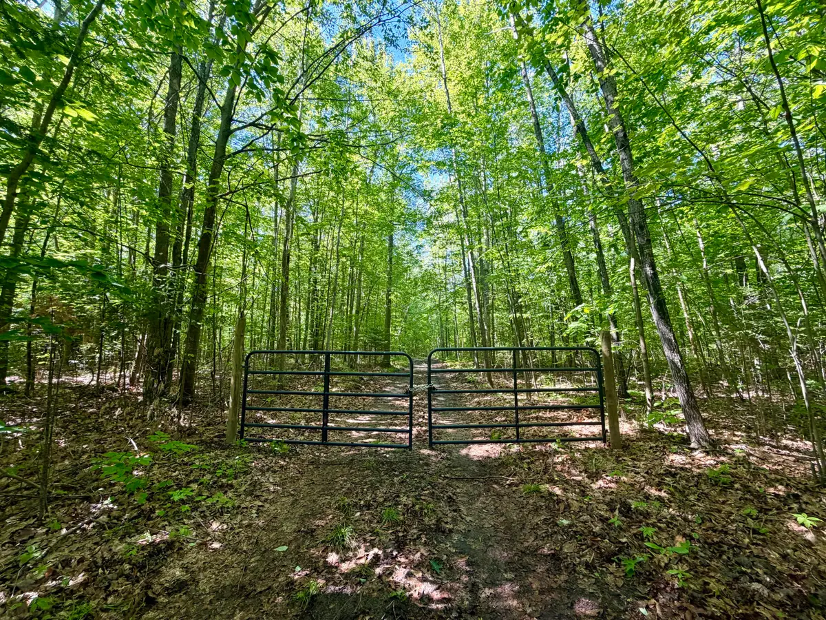 10.06 ac Jones Road, Glennie, MI 48737 - #1
