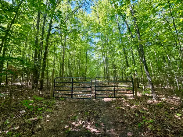 10.06 ac Jones Road, Glennie, MI 48737