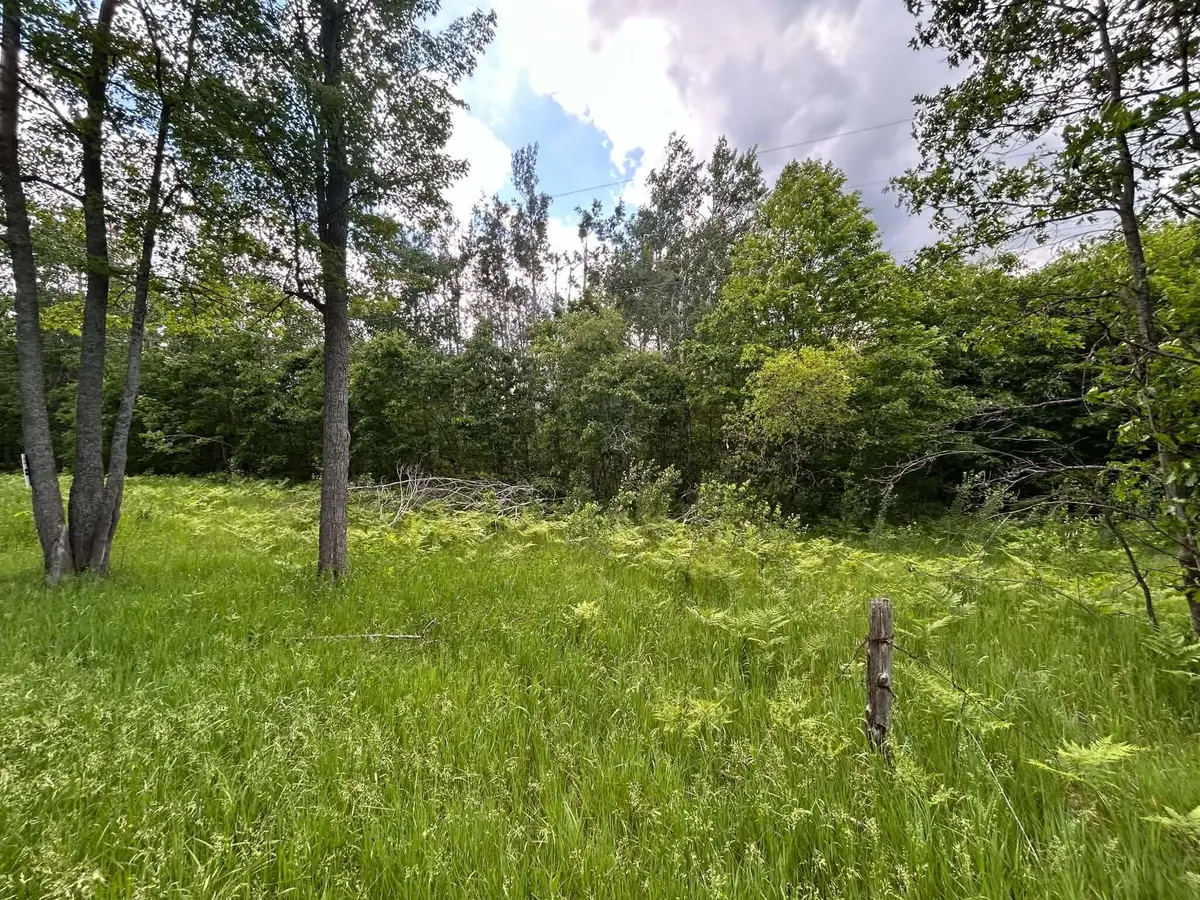 Parcel 2 Weaver Road, Comins, MI 48619 - #1