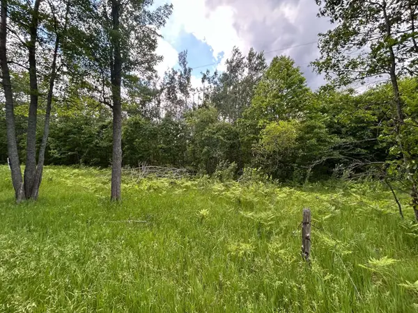 Parcel 2 Weaver Road, Comins, MI 48619