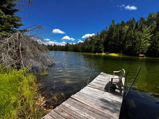 Lot 37-38 Shore Line Drive, Wolverine, MI 49799 - #1