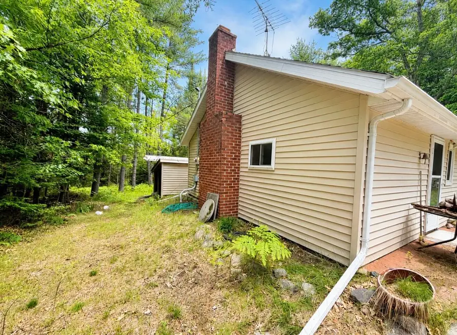 10727 Linger Longer, Grayling, MI 49738 - #3
