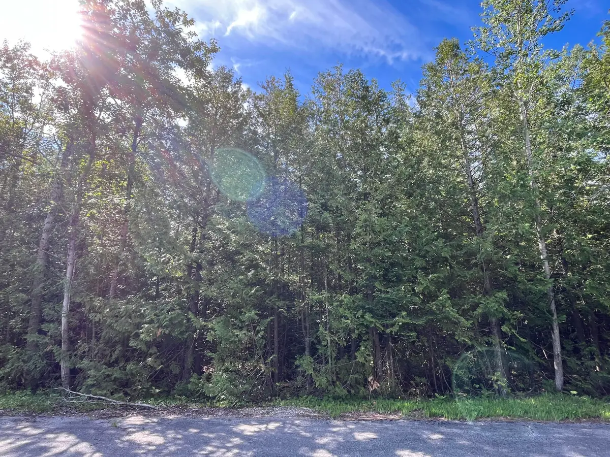 Lot 40 Firhaven Court, Presque Isle, MI 49777 - #1