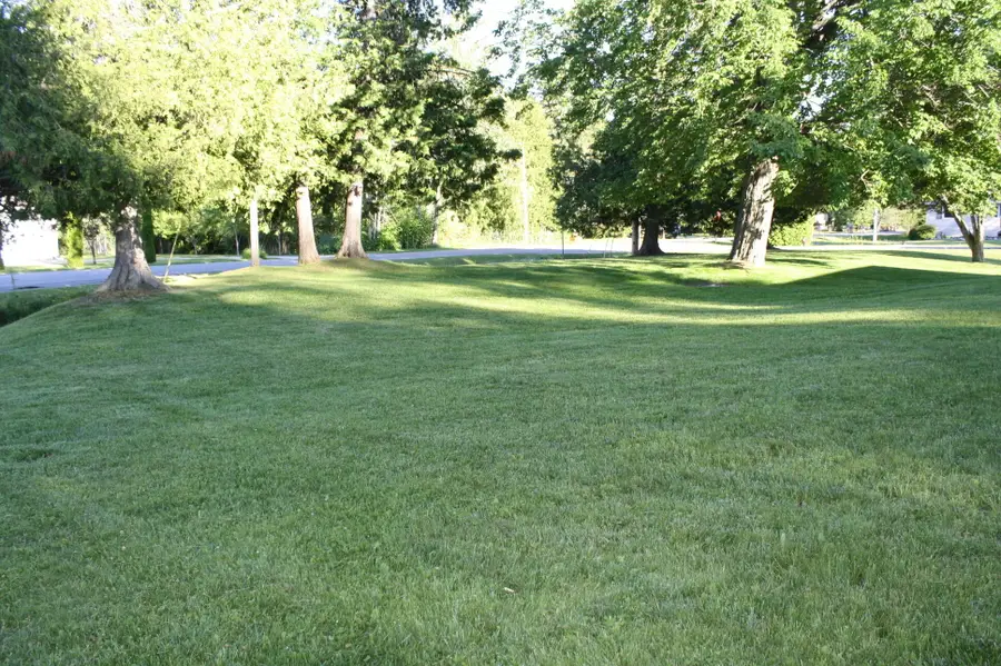 1212 Elden Drive, Alpena, MI 49707 - #3