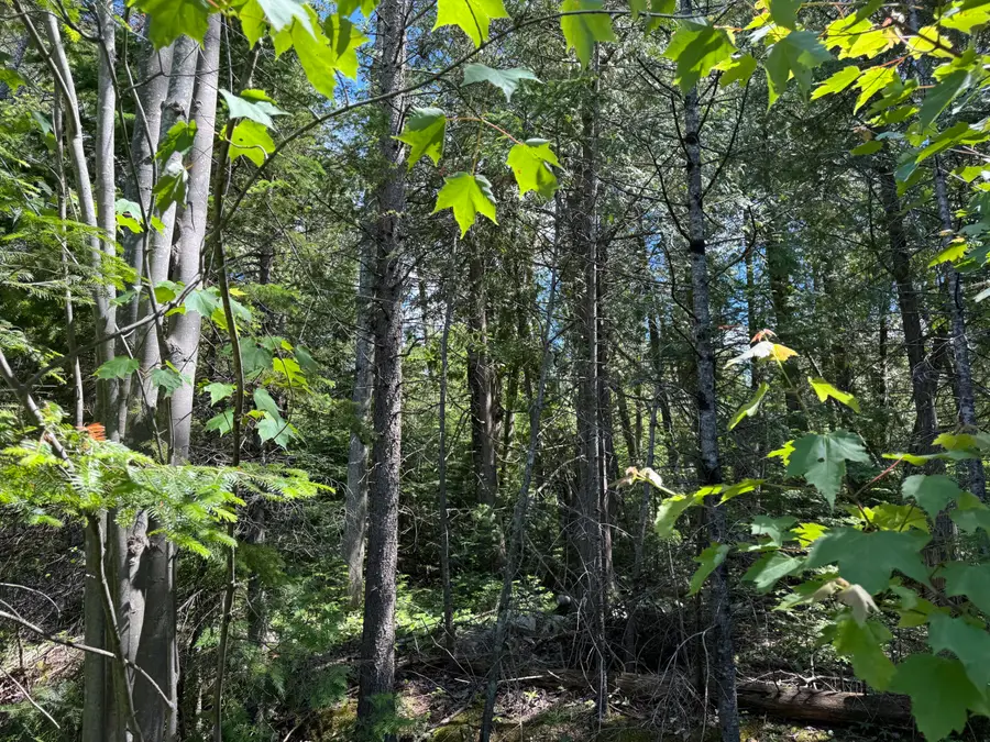 VL 10+/-AC U.s. 23, Cheboygan, MI 49721 - #3