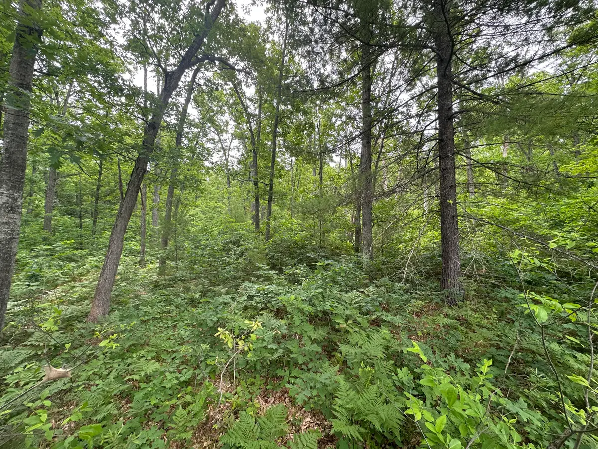 Skyline Road, Grayling, MI 49738 - #1