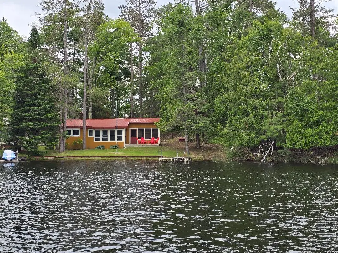 8994 Lake Nettie Road, Hawks, MI 49743 - #1