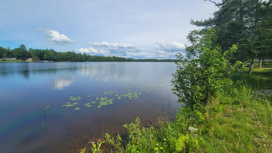 7726 Kleber Road, Onaway, MI 49765 - #3