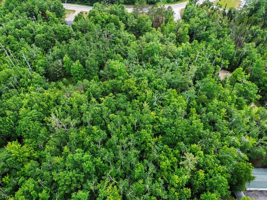 Lots 8-12 Scenic Trail, Gaylord, MI 49735 - #3