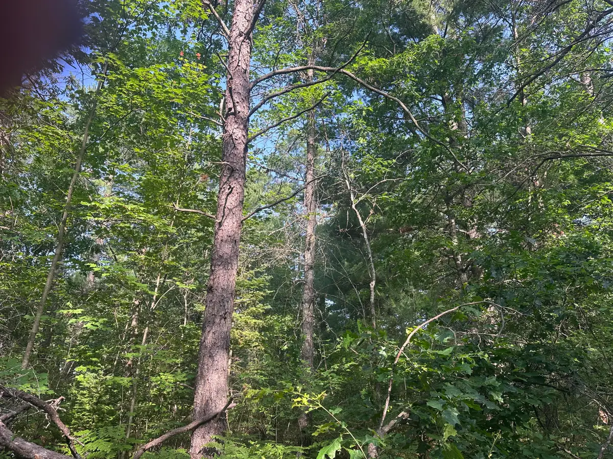 Lot#19 Arenoca Drive, Luzerne, MI 48636 - #1