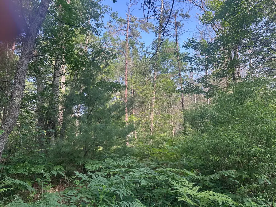 Lot#19 Arenoca Drive, Luzerne, MI 48636 - #3