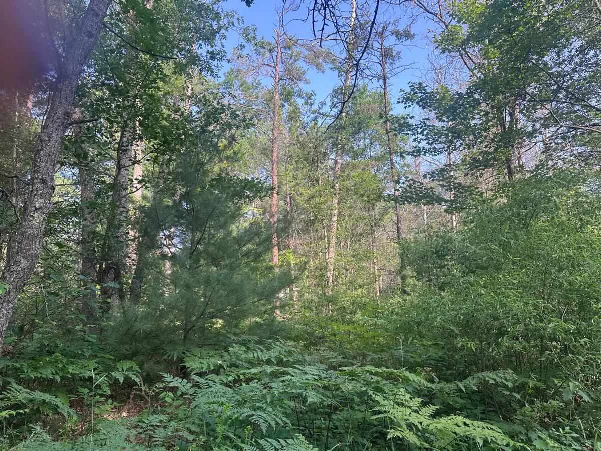 Lot#18 Arenonca Drive, Luzerne, MI 48636 - #1