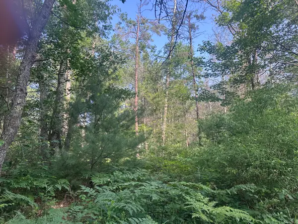 Lot#18 Arenonca Drive, Luzerne, MI 48636